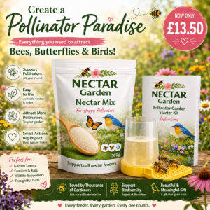 Nectar Garden Pollinator Starter Kit