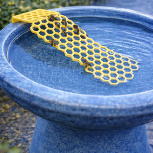 Floating Bee Ladder – Save Bees from Drowning