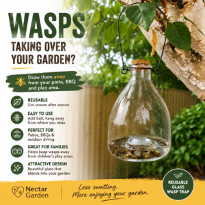 Glass Hanging Wasp Trap